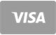Visa Kreditkarte als Zahlungsmittel